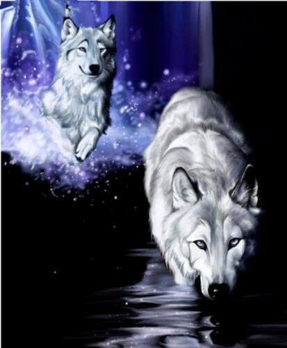 Wolf Paint by Numbers