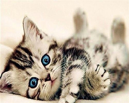 Cute Kittens Paint by Numbers