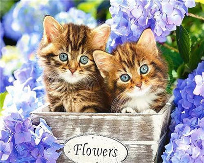 Cat in a flower basket Paint by numbers