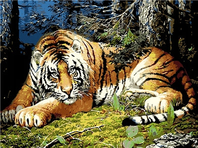 Tigre couché  Peinture par numéros