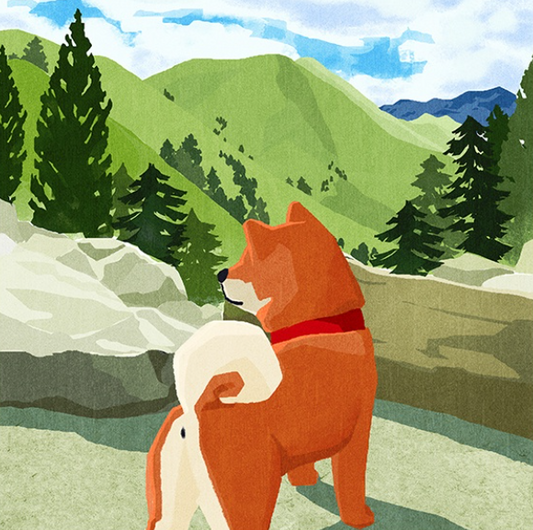 Shiba Inu Paint by Numbers