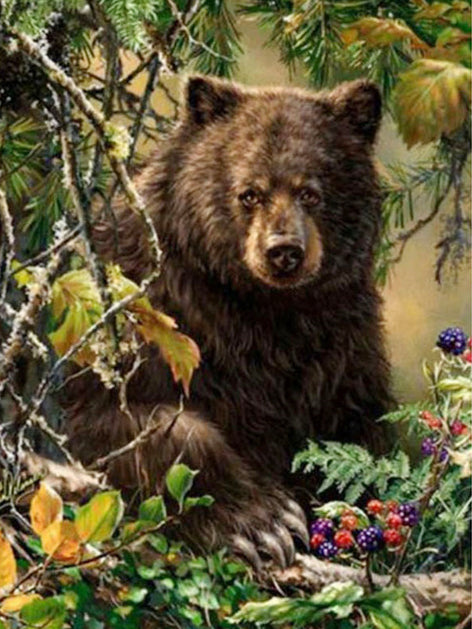 Brown Bear Paint by Number