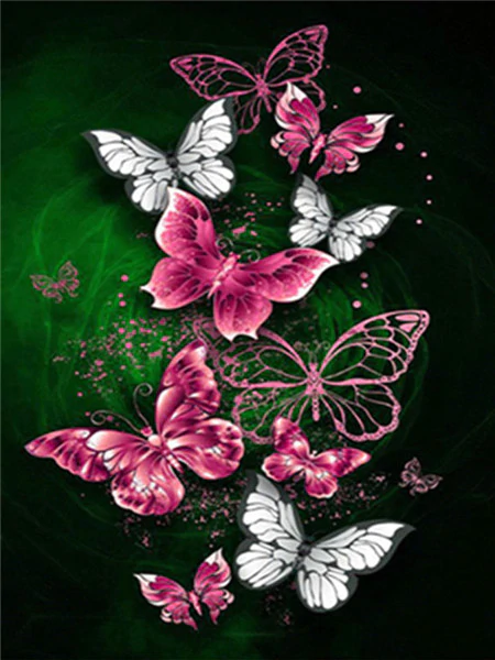 Butterfly Paint by Numbers