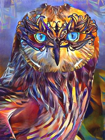 Chouette colorée  Peinture par numéros