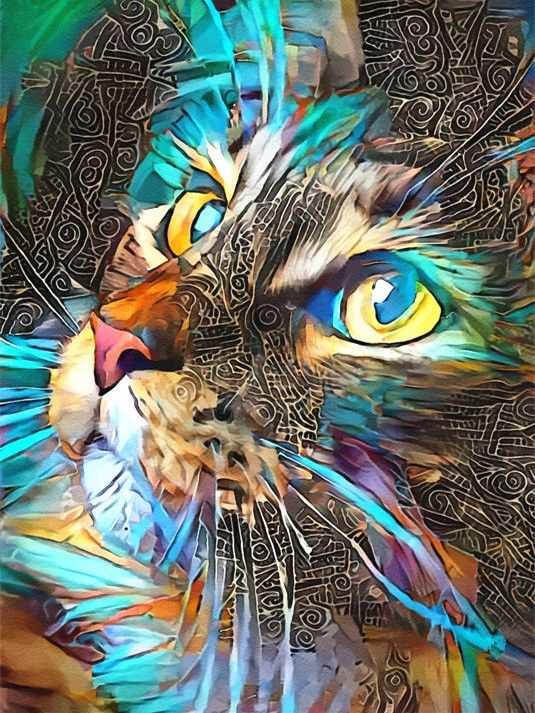 Paint by Numbers Cat