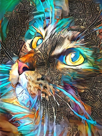 Paint by Numbers Cat