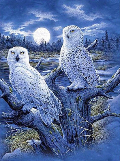Owl Paint by Numbers