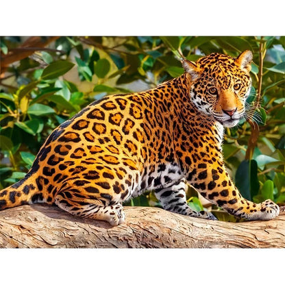 Leopard Malen nach Zahlen