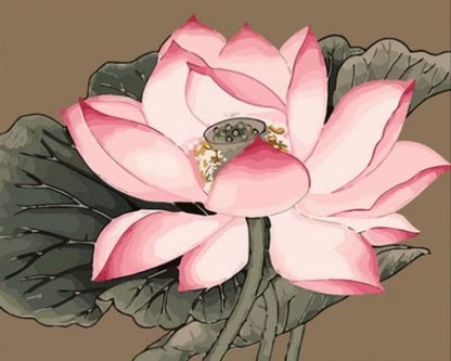 Lotus Paint by Numbers