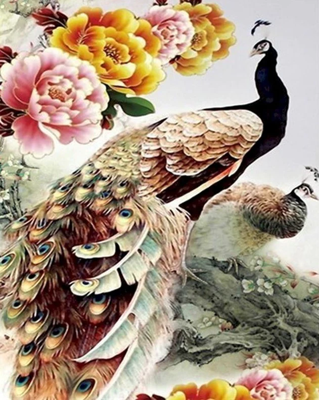 Bird Paint by Numbers