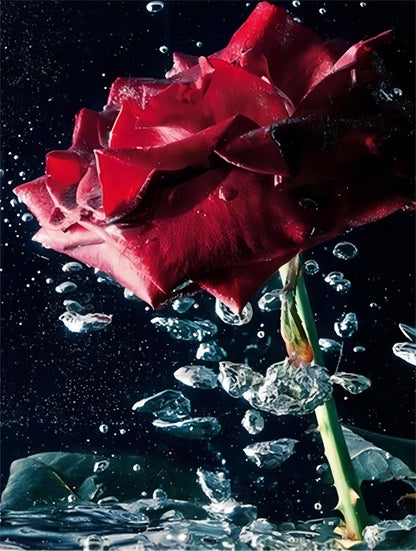 Flower Paint by Numbers