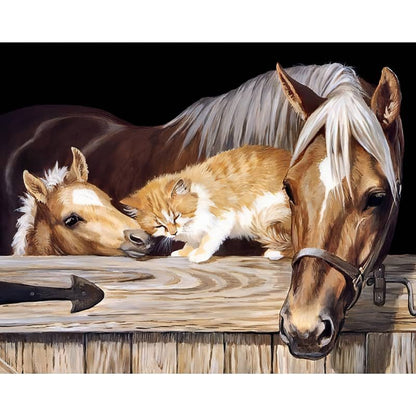 Horse Paint by Numbers