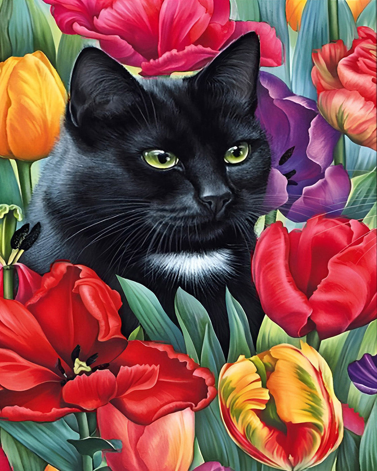 Paint by Numbers Cat