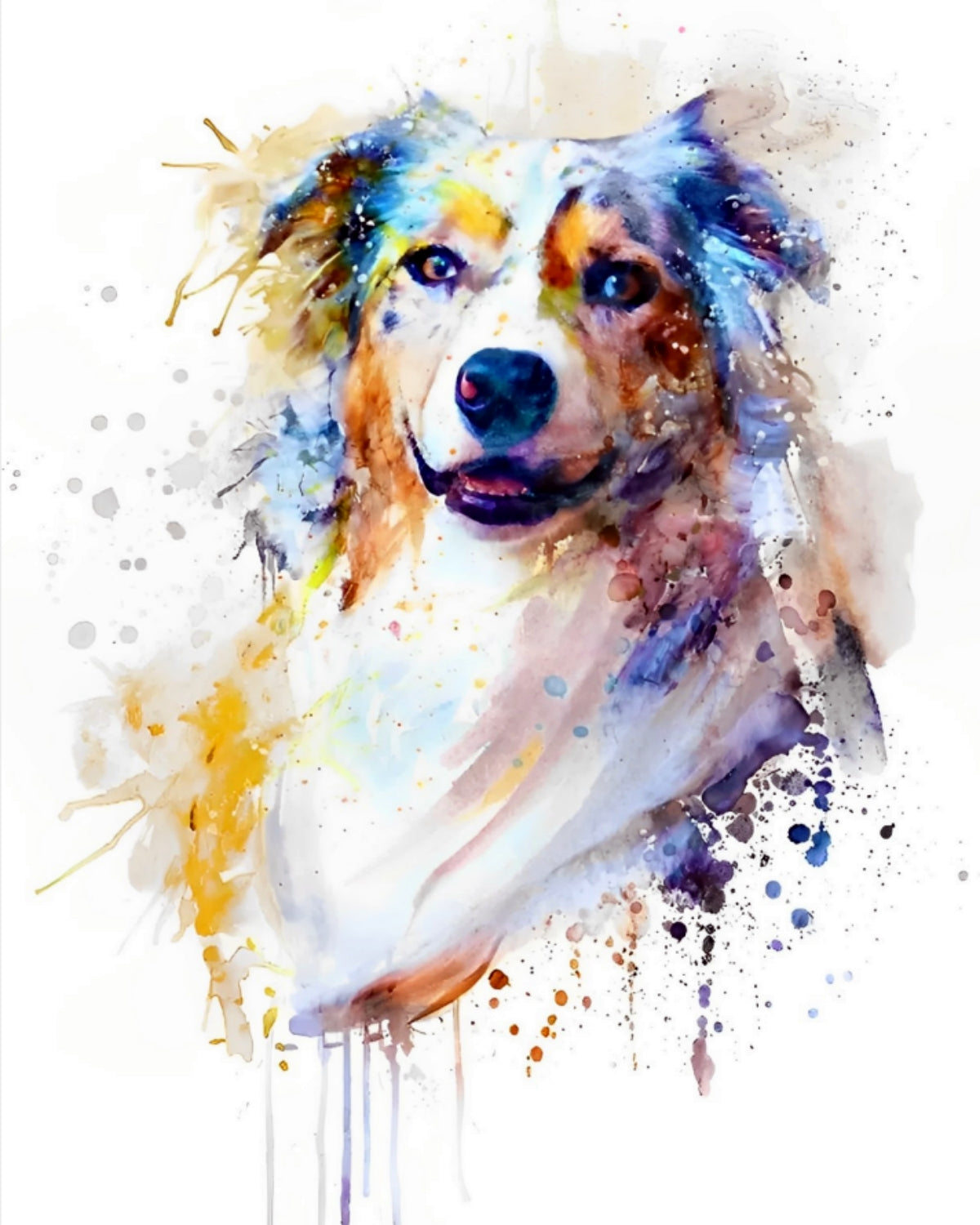 Dog Head Paint by Numbers