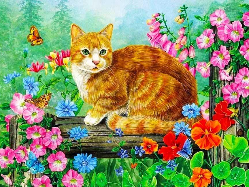 Peinture numérotée chat orange