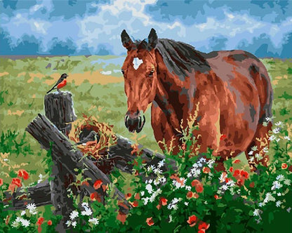 Cheval Peinture par Numéros