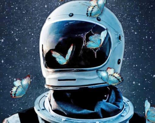 Butterflies in Space Paint by Numbers