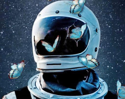 Butterflies in Space Paint by Numbers