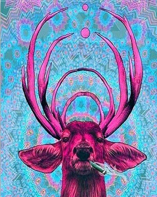 Sika violet