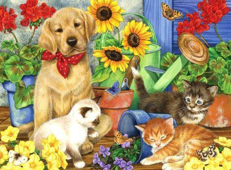 Flowers and Dog Paint by Numbers