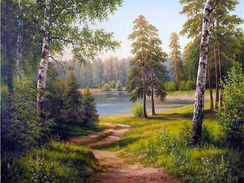 Forest Paint by Numbers
