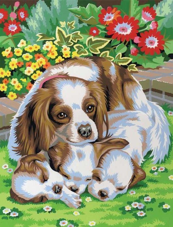 Peinture par numéros Chien et chaton