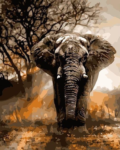 Peinture Numéro Éléphant et Savane