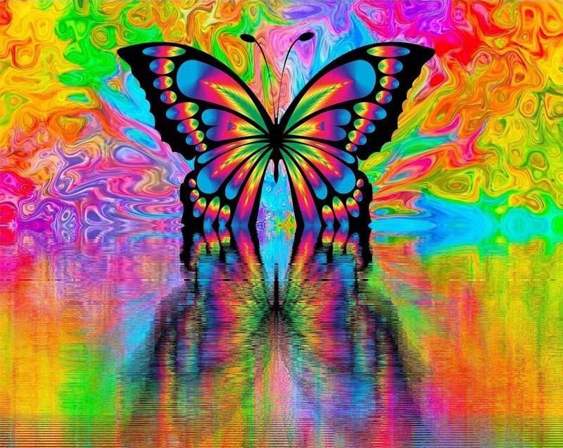 Butterfly Paint by Numbers