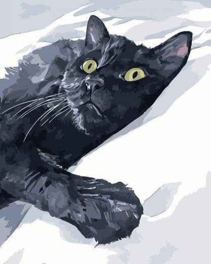 Cat Paint by Numbers