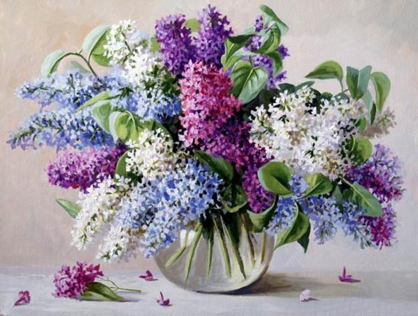 Lavender   Paint by Numbers
