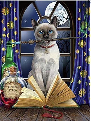 Cat Paint by Numbers