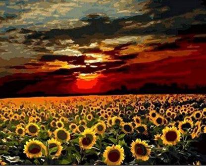 Sonnenblumenblütenmeer  Malen nach Zahlen