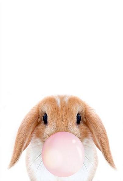Rabbit blowing up a balloon    Paint by Numbers