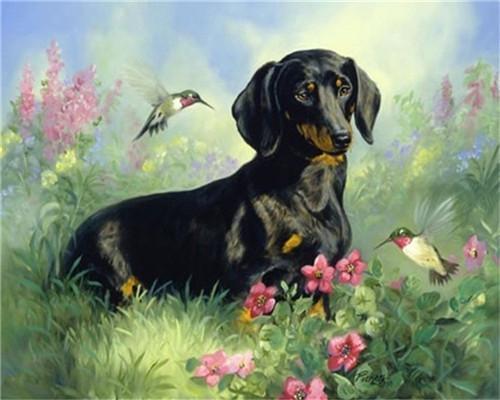 Black Dog Paint by Numbers