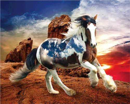 Horse Paint by Numbers