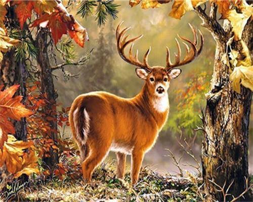 Sika cerf Peinture par numéros