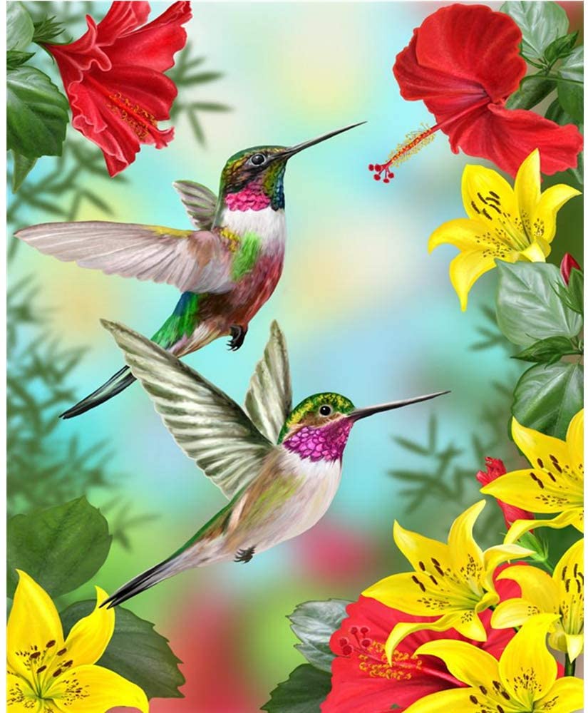 Birdie   Paint by Numbers