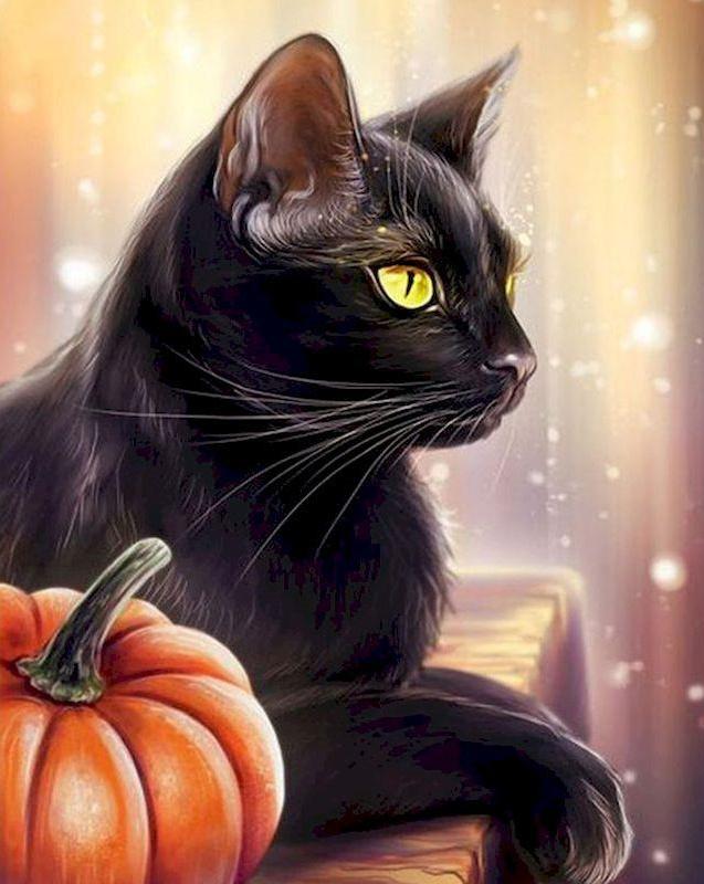 Black Cat Paint by Numbers