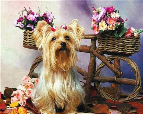 Puppy Paint by Numbers