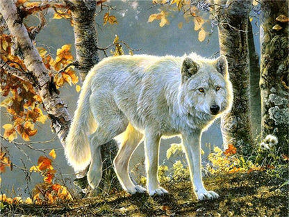 Loup - Peinture par numéros