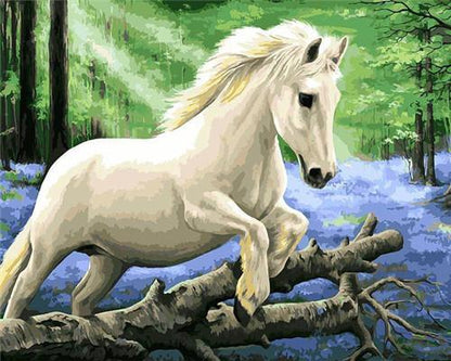 White Horse Paint by Numbers