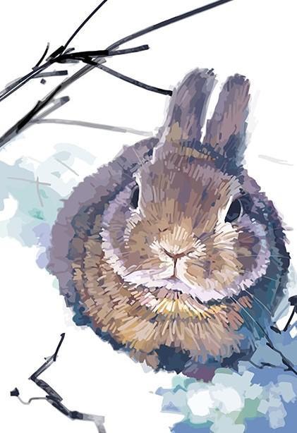 Brown Rabbit Paint by Numbers